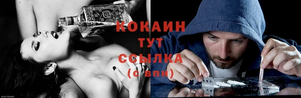 ГАЛЛЮЦИНОГЕННЫЕ ГРИБЫ Михайлов