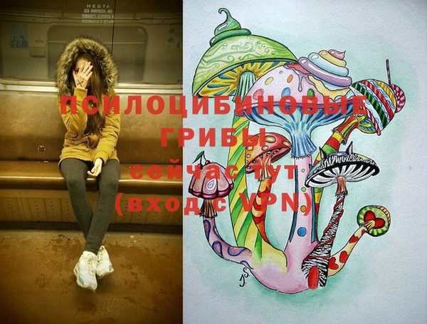 ГАЛЛЮЦИНОГЕННЫЕ ГРИБЫ Михайлов