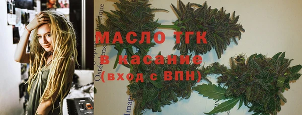 ГАЛЛЮЦИНОГЕННЫЕ ГРИБЫ Михайлов
