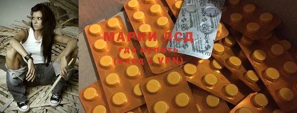 ГАЛЛЮЦИНОГЕННЫЕ ГРИБЫ Михайлов